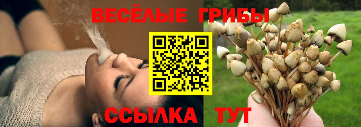 Псилоцибиновые грибы GOLDEN TEACHER  Вход с VPN  Галлюциногенные грибы MAGIC MUSHROOMS  Орехово-Зуево 