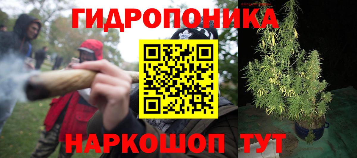 Бошки Шишки AK-47  Вход с VPN  Орехово-Зуево  Марихуана MAZAR  Бошки Шишки план  Шишки марихуана Bruce Banner 